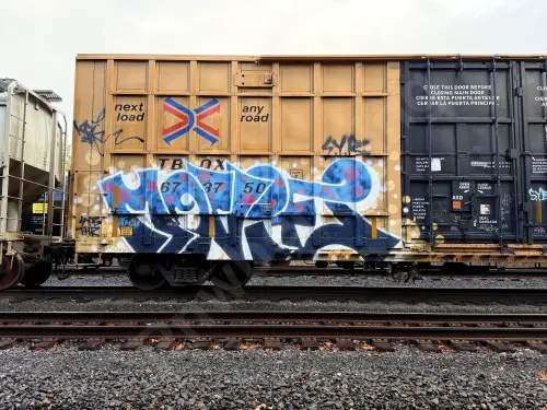 TBOX673750