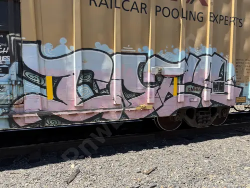 TBOX667531