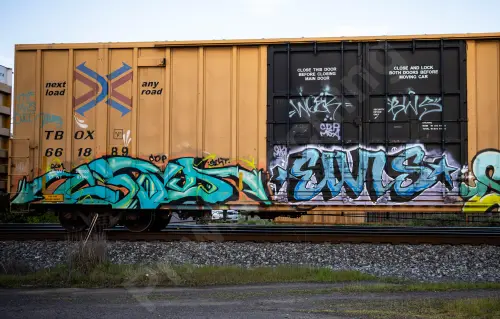TBOX661889