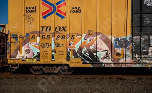 TBOX665265