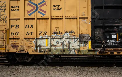 FBOX505173