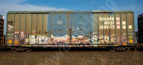 SSW67849