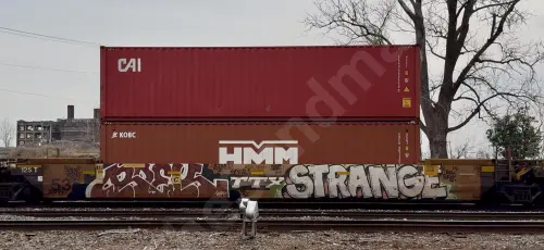 Train photo