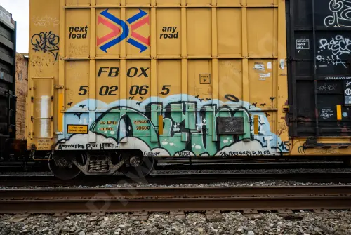 FBOX502065