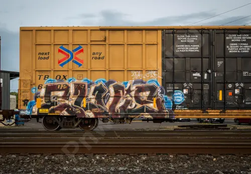 TBOX640278
