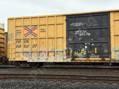 FBOX505237