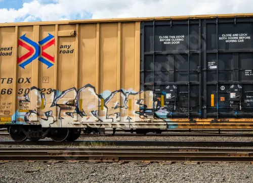 TBOX663023