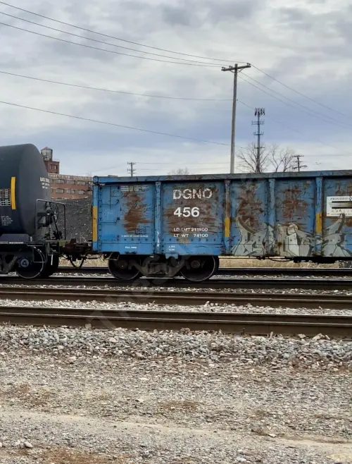 DGNO456