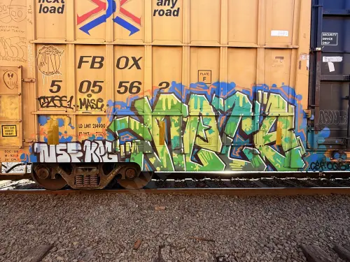 FBOX505562