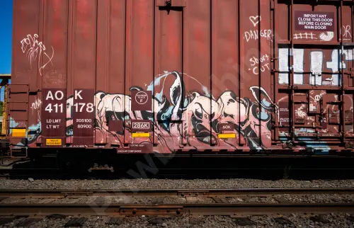 AOK411178