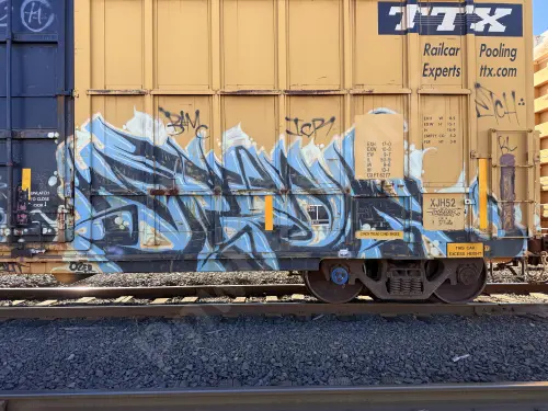 FBOX504061