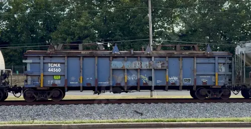 TCMX44560