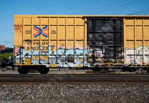 FBOX502232