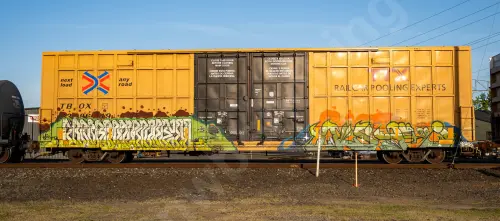 TBOX638619