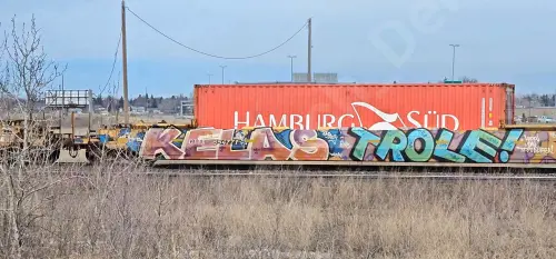 Train photo