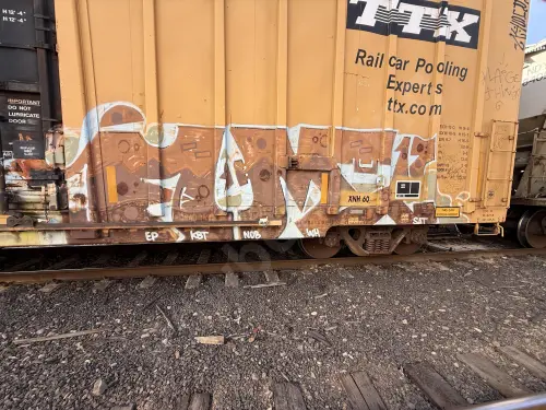TBOX665536