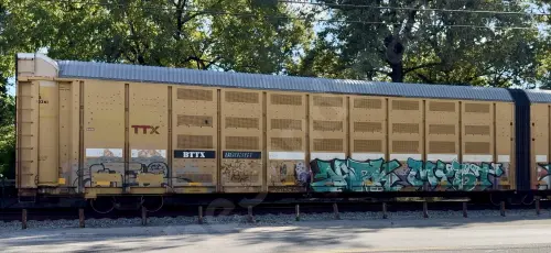 BTTX880361