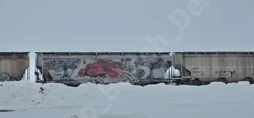 CEFX10091