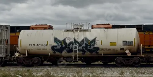 TILX401481
