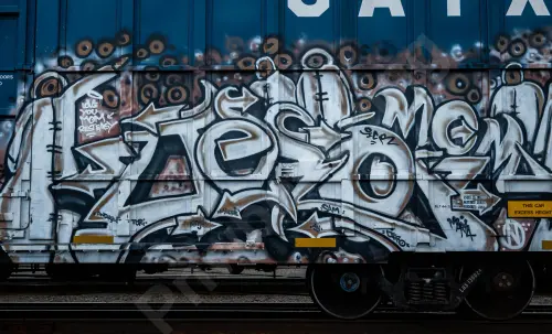 LRS130024