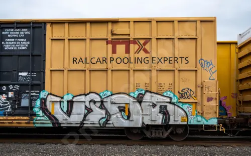 TBOX638930