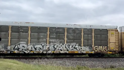 TTGX254843
