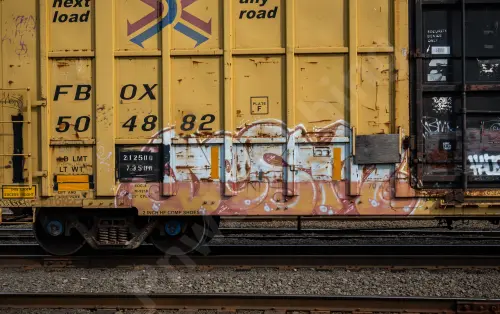 FBOX504882