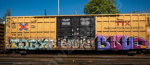 TBOX639055