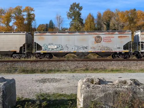 SOO119622