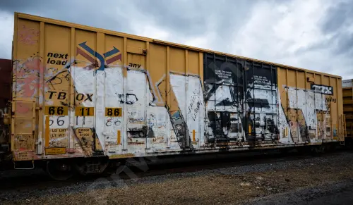TBOX661186