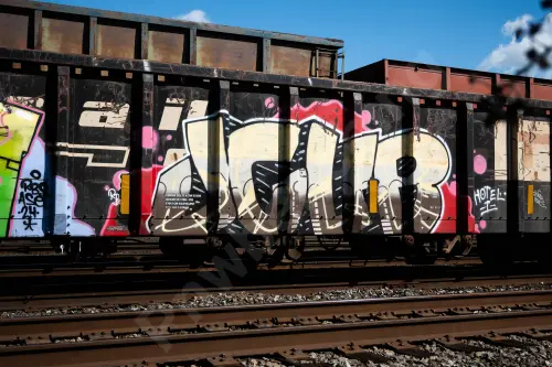 GNTX290143