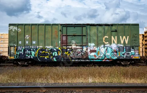 CNW520060