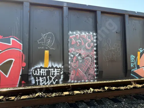 CHTT723496