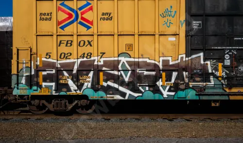 FBOX502487