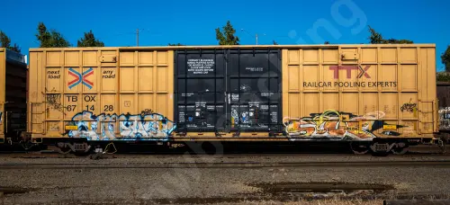 TBOX671428