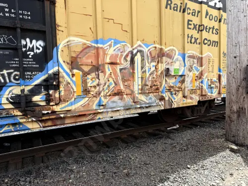 TBOX660648