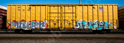 UP700100