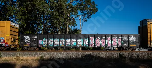 SMIX1051