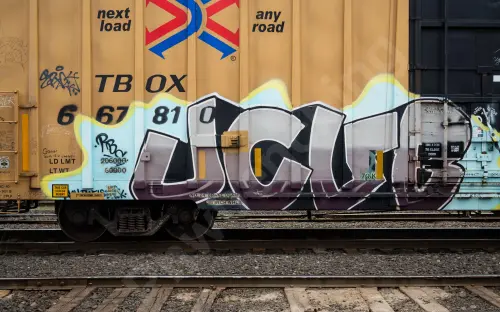 TBOX667810