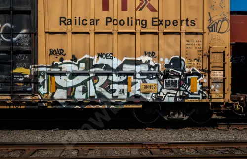 FBOX505996