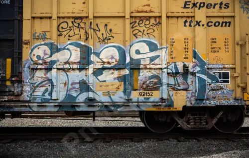 FBOX504829