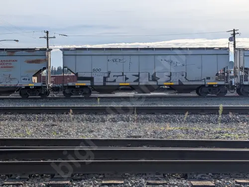 SOO124445