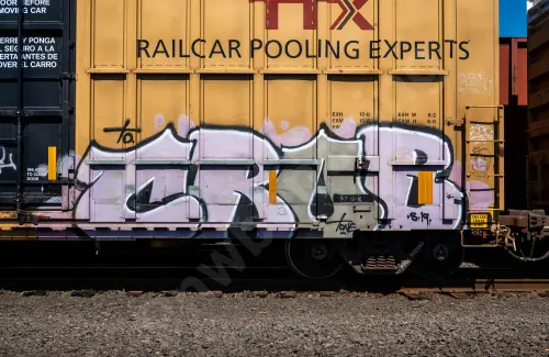 FBOX506850