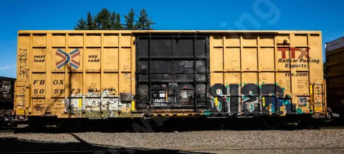 FBOX505173