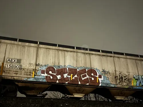 AEX15890