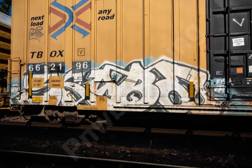 TBOX662196