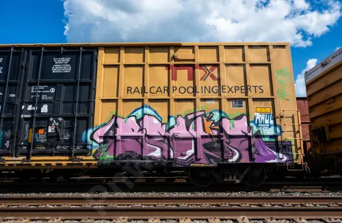 TBOX644799