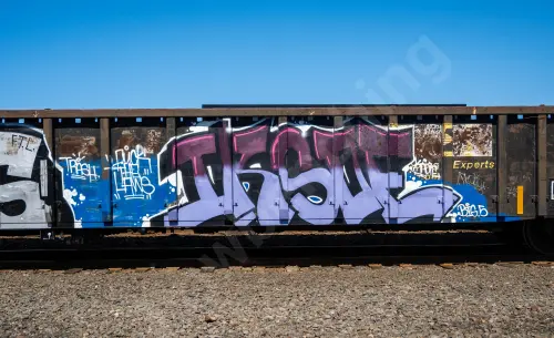 GNTX297356