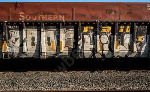 GNTX295257