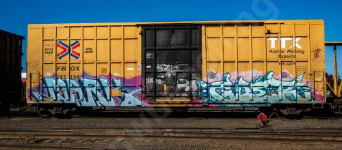 FBOX502209